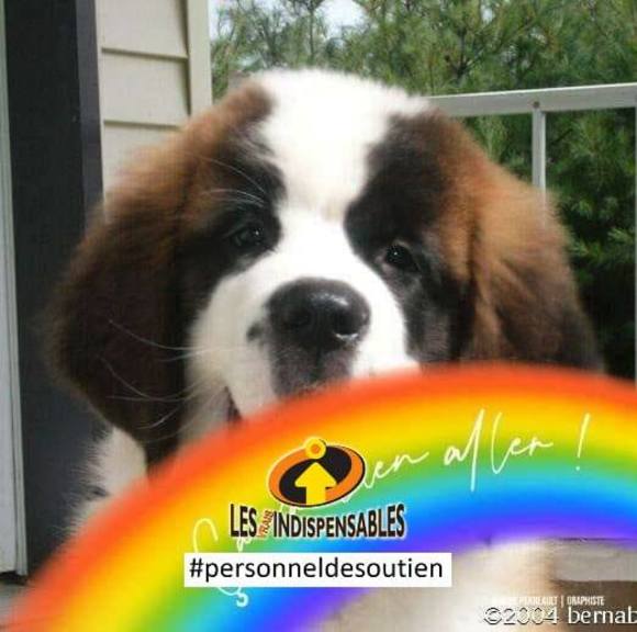 Meet your Posher, Lucie - Picture 1 of 1